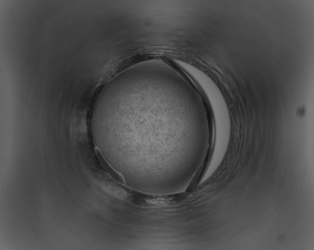 X0000089910516200707131352