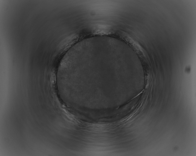 X0000089910517200707131352