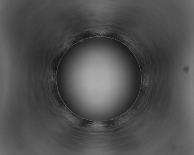 X0000089910518200707131352