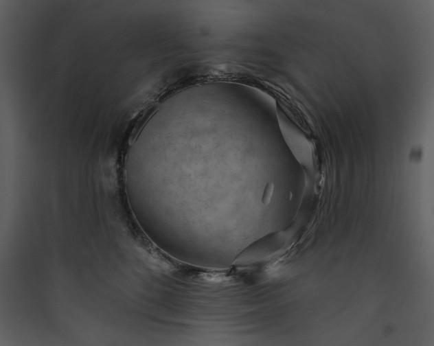X0000089910520200707131352