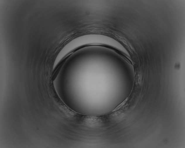 X0000089910521200707131352