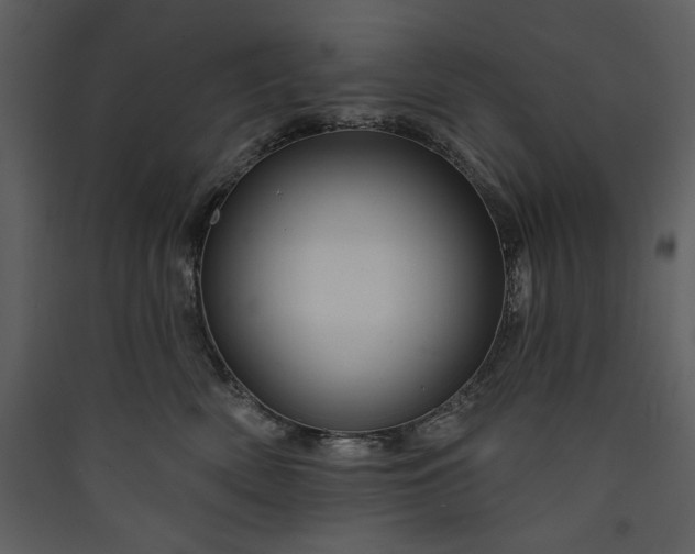 X0000089910522200707131352