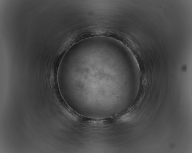 X0000089910524200707131352