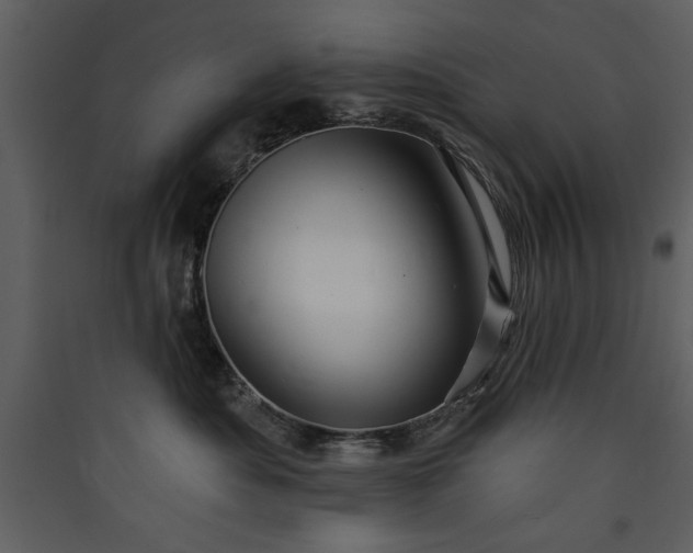 X0000089910525200707131352