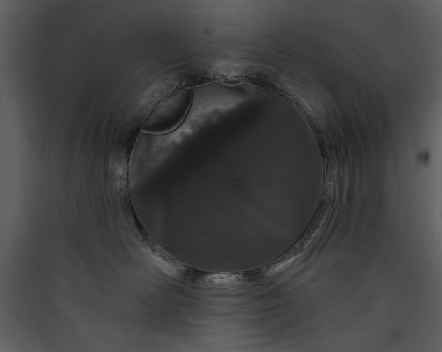 X0000089910526200707131352