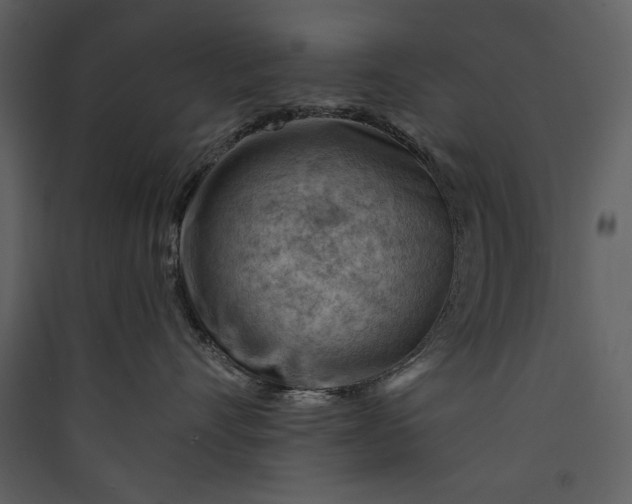 X0000089910528200707131352