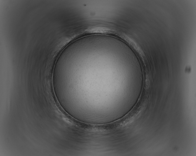 X0000089910529200707131351