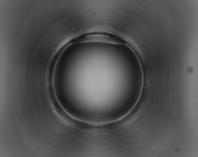 X0000089910530200707131351