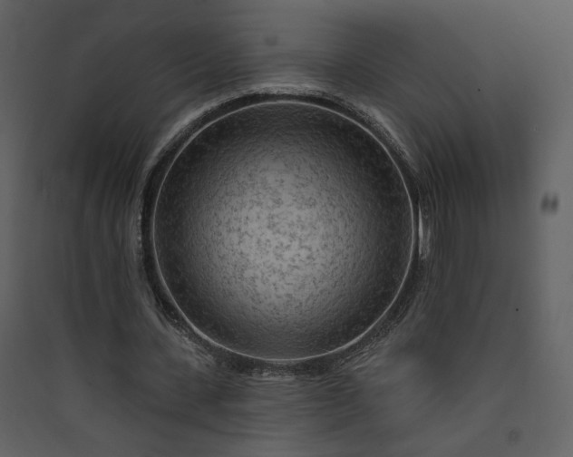 X0000089910531200707131351