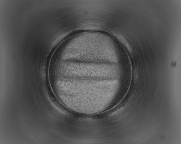 X0000089910533200707131351