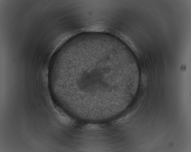X0000089910534200707131351