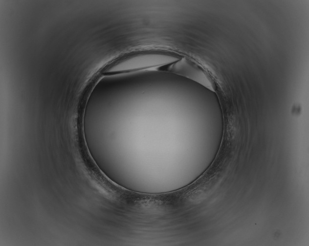 X0000089910535200707131351