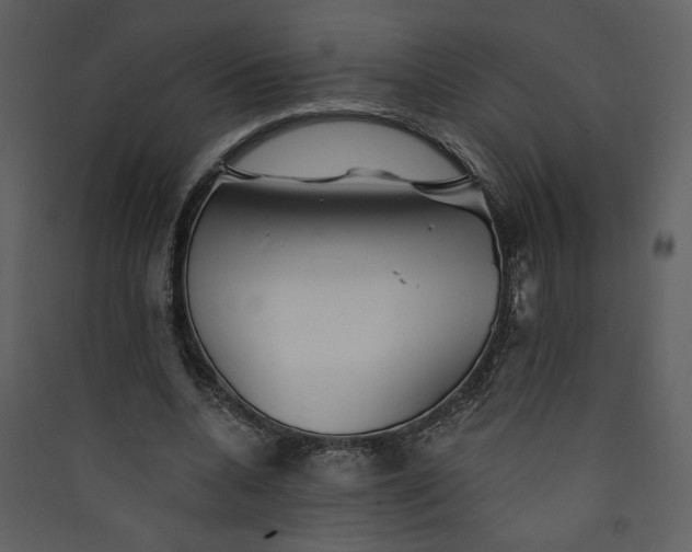 X0000089910536200707131351