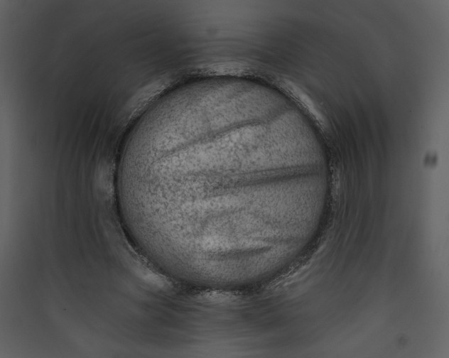 X0000089910537200707131351