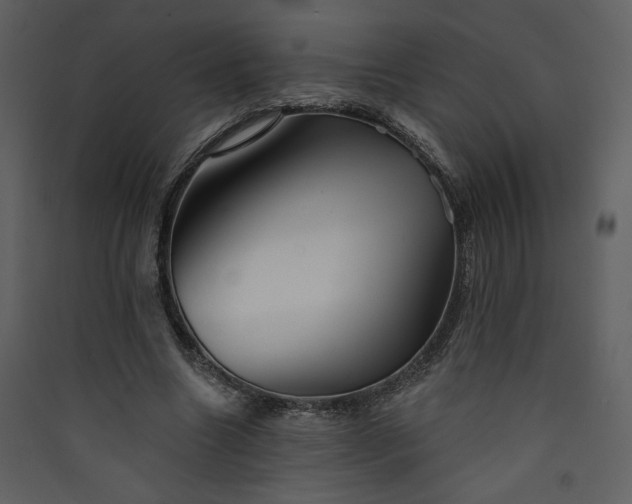 X0000089910538200707131351