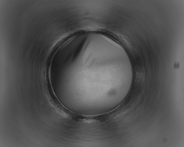 X0000089910539200707131351