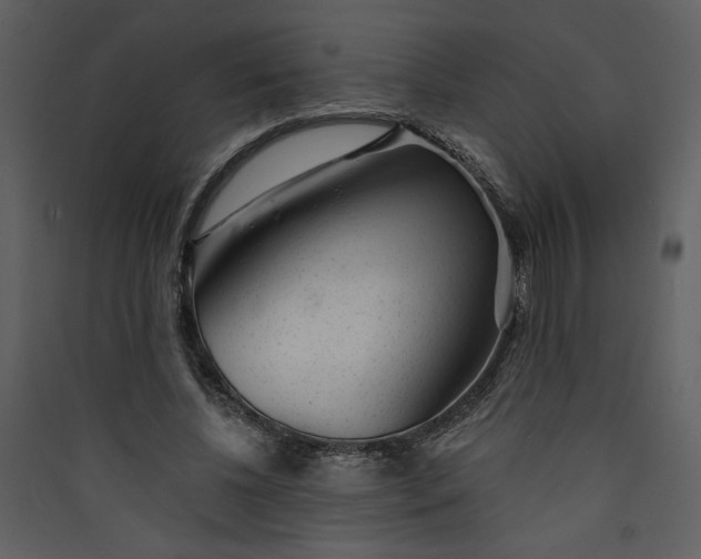 X0000089910540200707131351