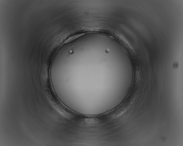 X0000089910541200707131351