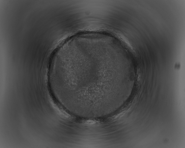 X0000089910542200707131351