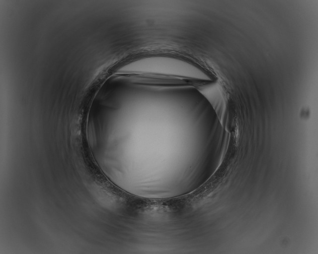 X0000089910543200707131351