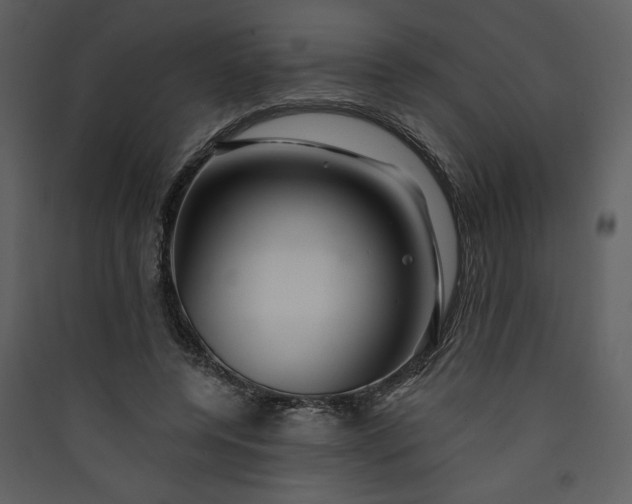 X0000089910544200707131351
