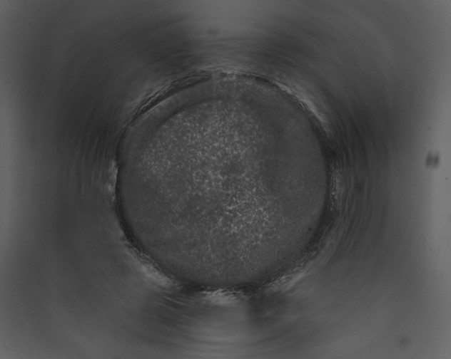 X0000089910545200707131351