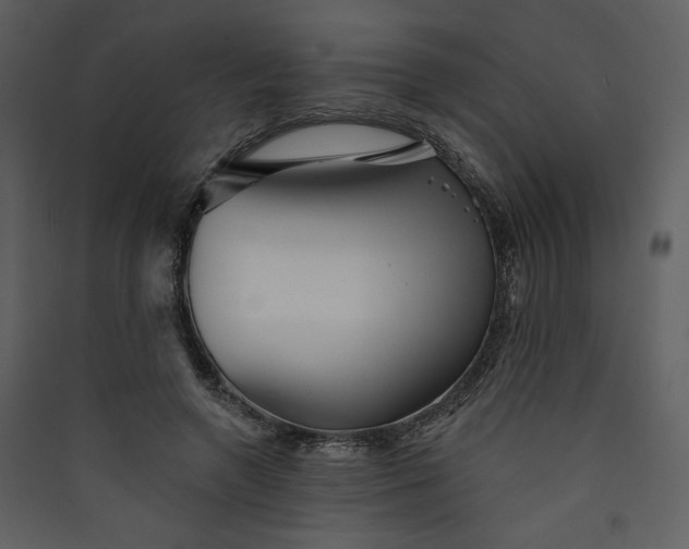 X0000089910546200707131351