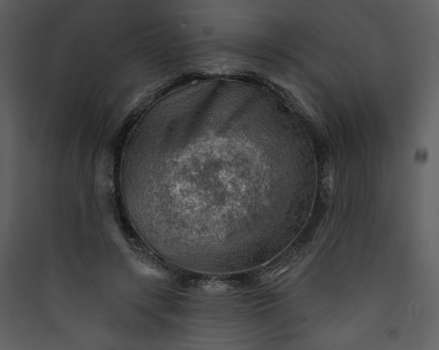 X0000089910547200707131351