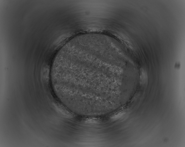 X0000089910550200707131351