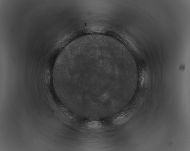 X0000089910551200707131351