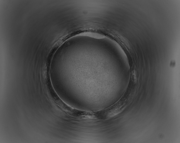 X0000089910552200707131351