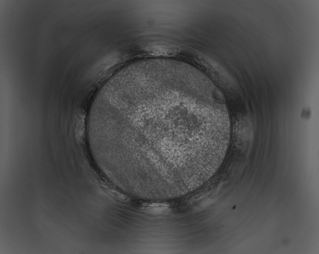 X0000089910554200707131351