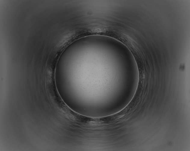 X0000089910556200707131351