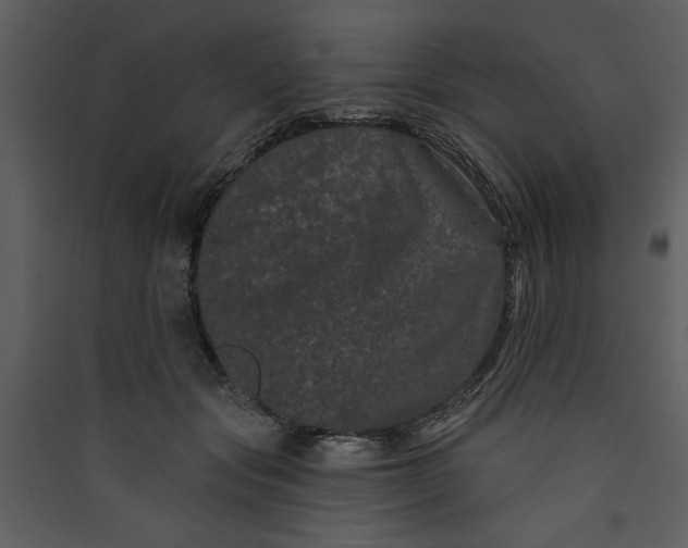 X0000089910557200707131351