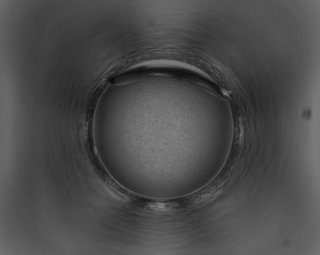 X0000089910558200707131351