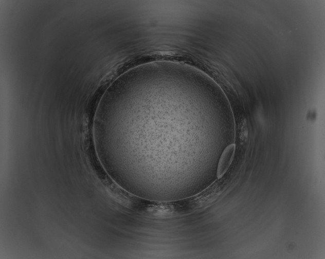 X0000089910559200707131351
