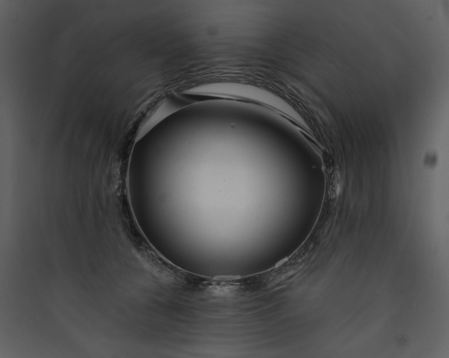 X0000089910560200707131351