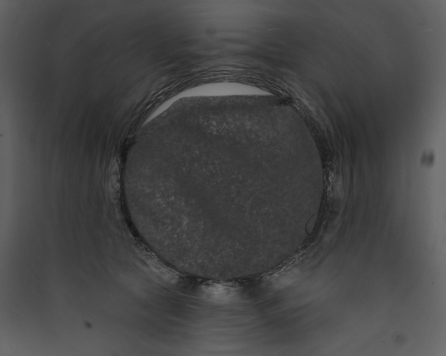 X0000089910561200707131351