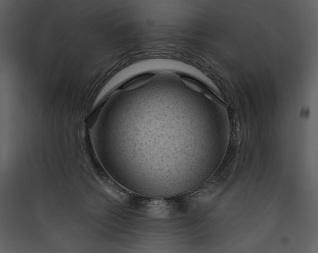 X0000089910562200707131351