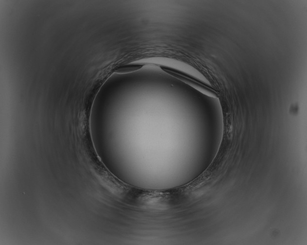 X0000089910563200707131351
