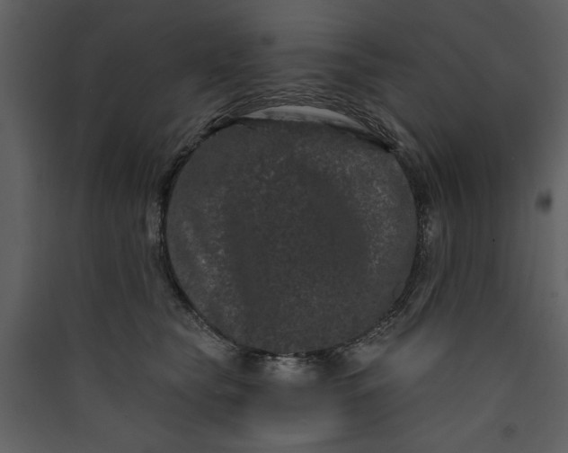 X0000089910565200707131351