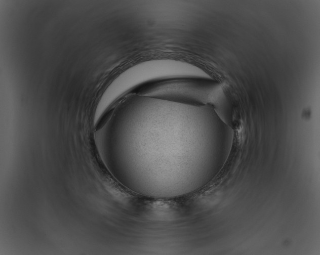 X0000089910566200707131351