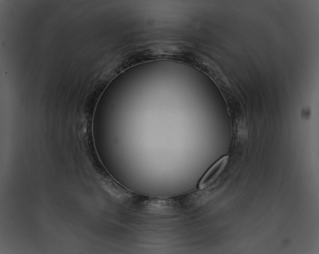 X0000089910567200707131351