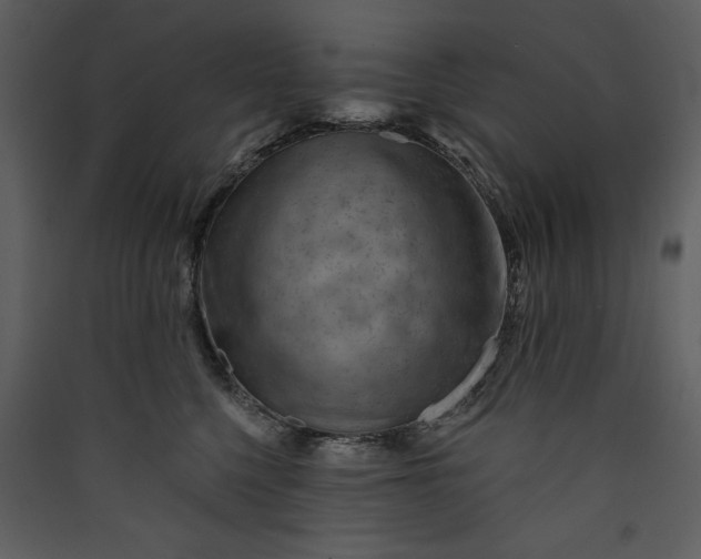 X0000089910568200707131351