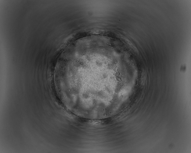 X0000089910569200707131351