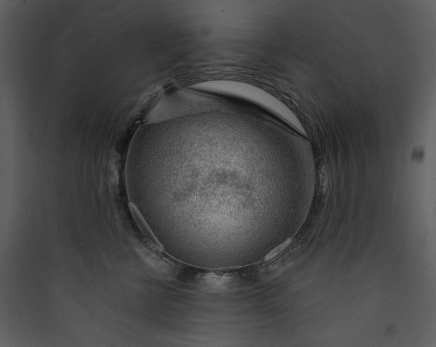 X0000089910570200707131351