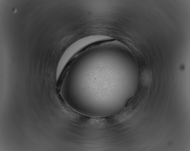 X0000089910571200707131351