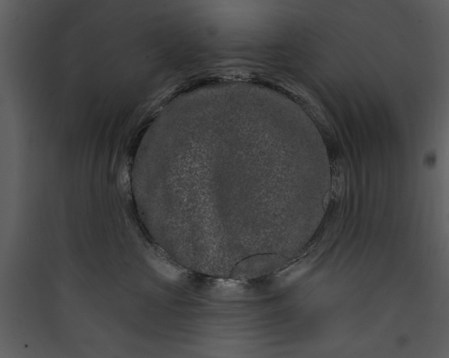 X0000089910573200707131352