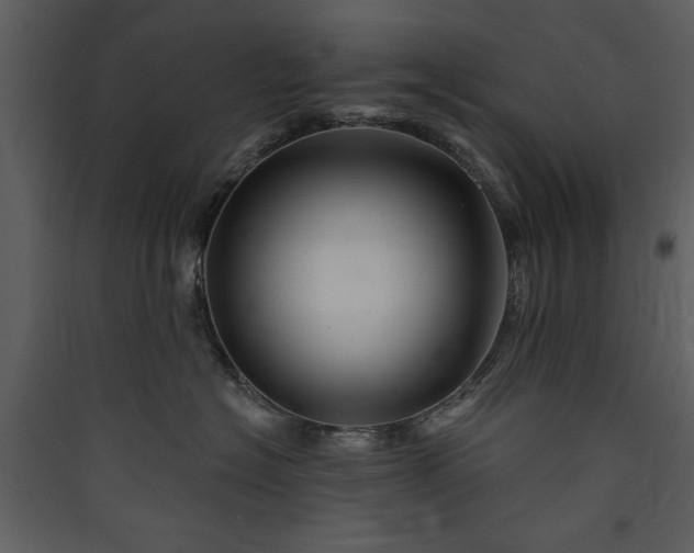 X0000089910574200707131352