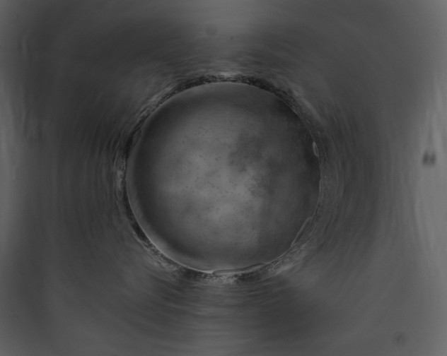 X0000089910576200707131352